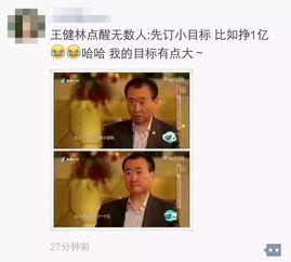 王健林爆料完整视频,揭秘商业帝国背后的真实故事